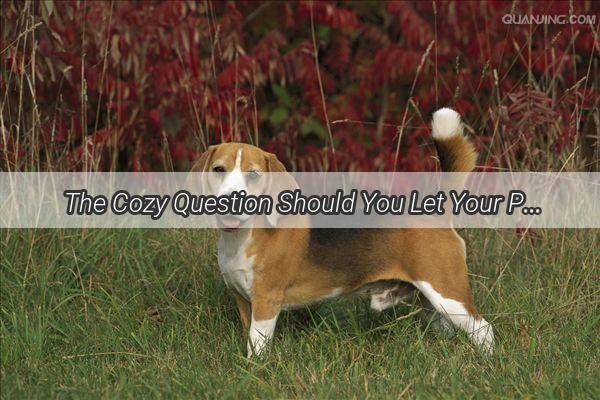 The Cozy Question Should You Let Your Pooch Snuggle Up in Bed with You